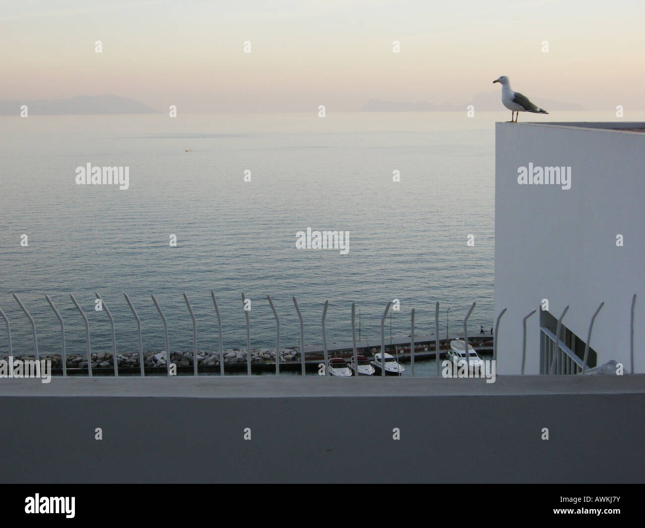 Blick auf die Insel Capri von Posillipo Viertel - Neapel-Kampanien-Italien - Neapel Süd-Italien-Europa Stockfoto