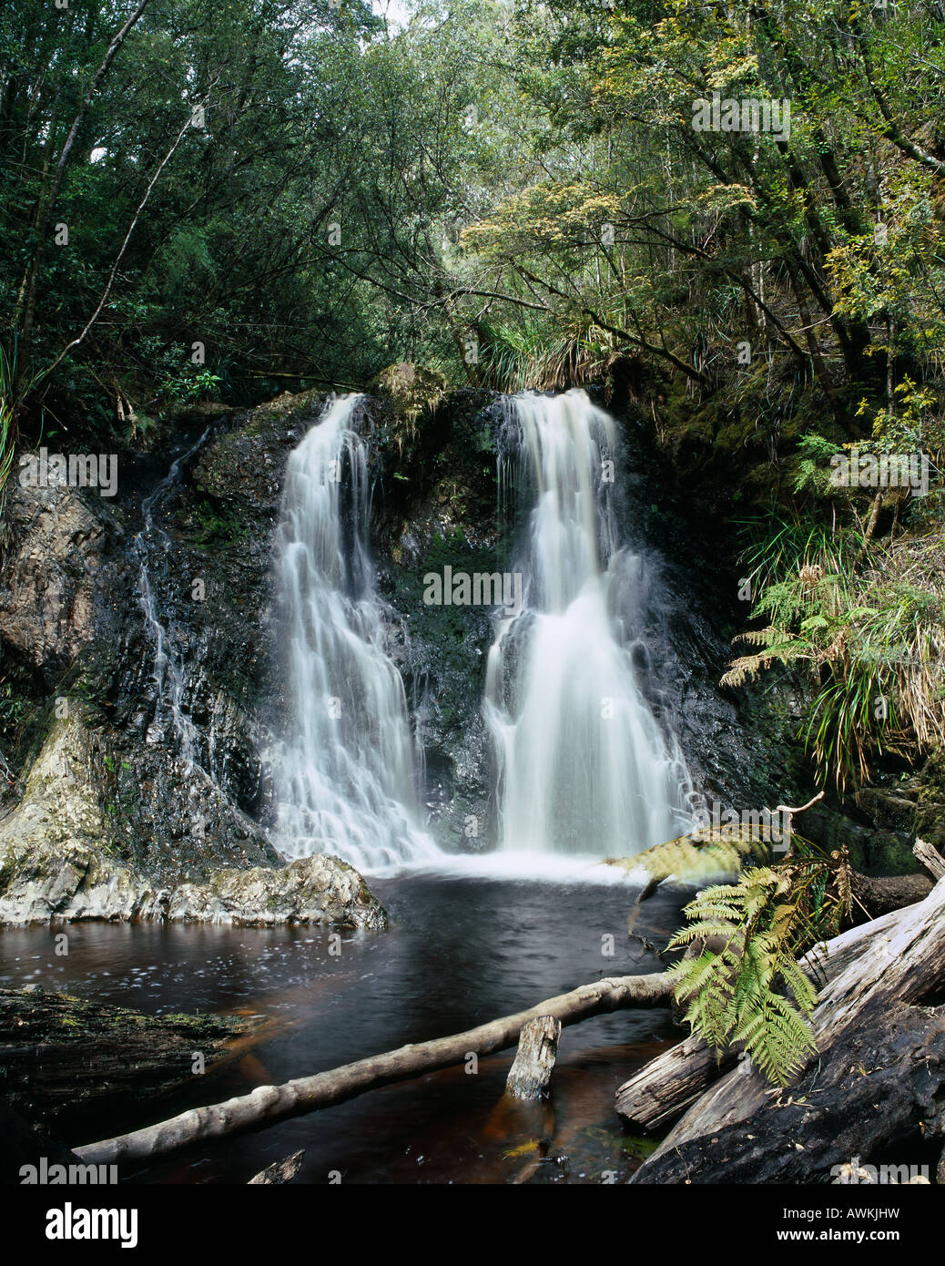 Hogarth fällt, ist ein angenehmer kleiner Wasserfall inmitten der Peoples Park in der malerischen Küstenstadt Township Strahan Stockfoto