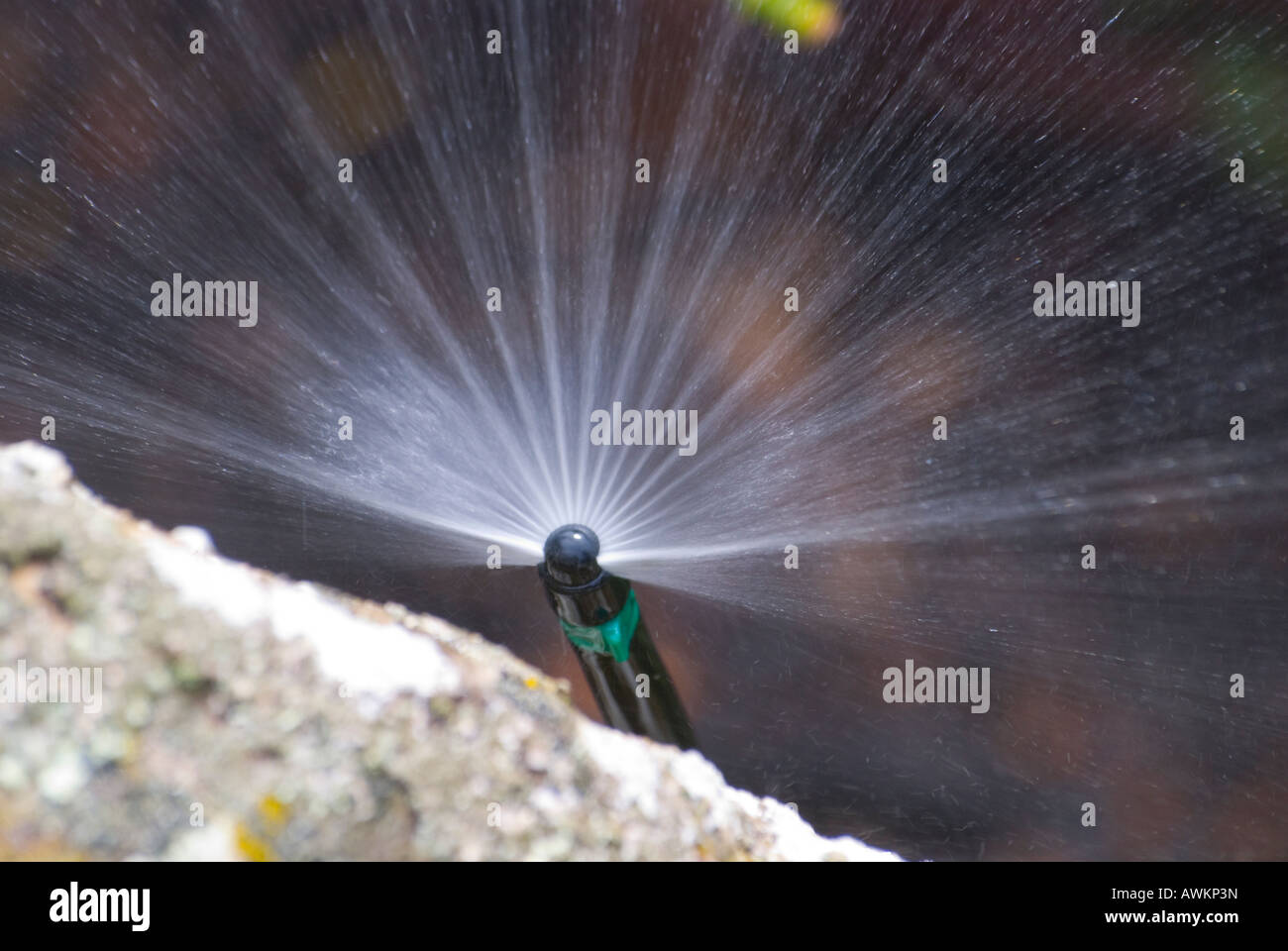 Gartenbewässerung-System-Sprühdüse Stockfoto