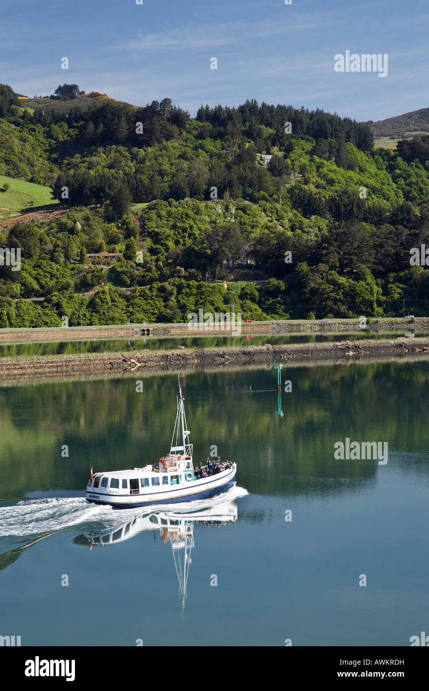 Monarch Tour Boat Otago Harbour Dunedin Neuseeland Südinsel Antenne Stockfoto