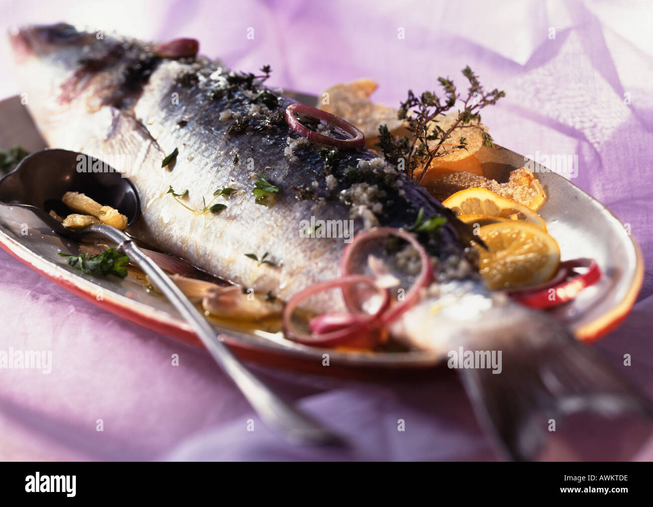 Ganze gekochte Fische mit Zitrusfrüchten und Kräutern auf Teller, Nahaufnahme Stockfoto