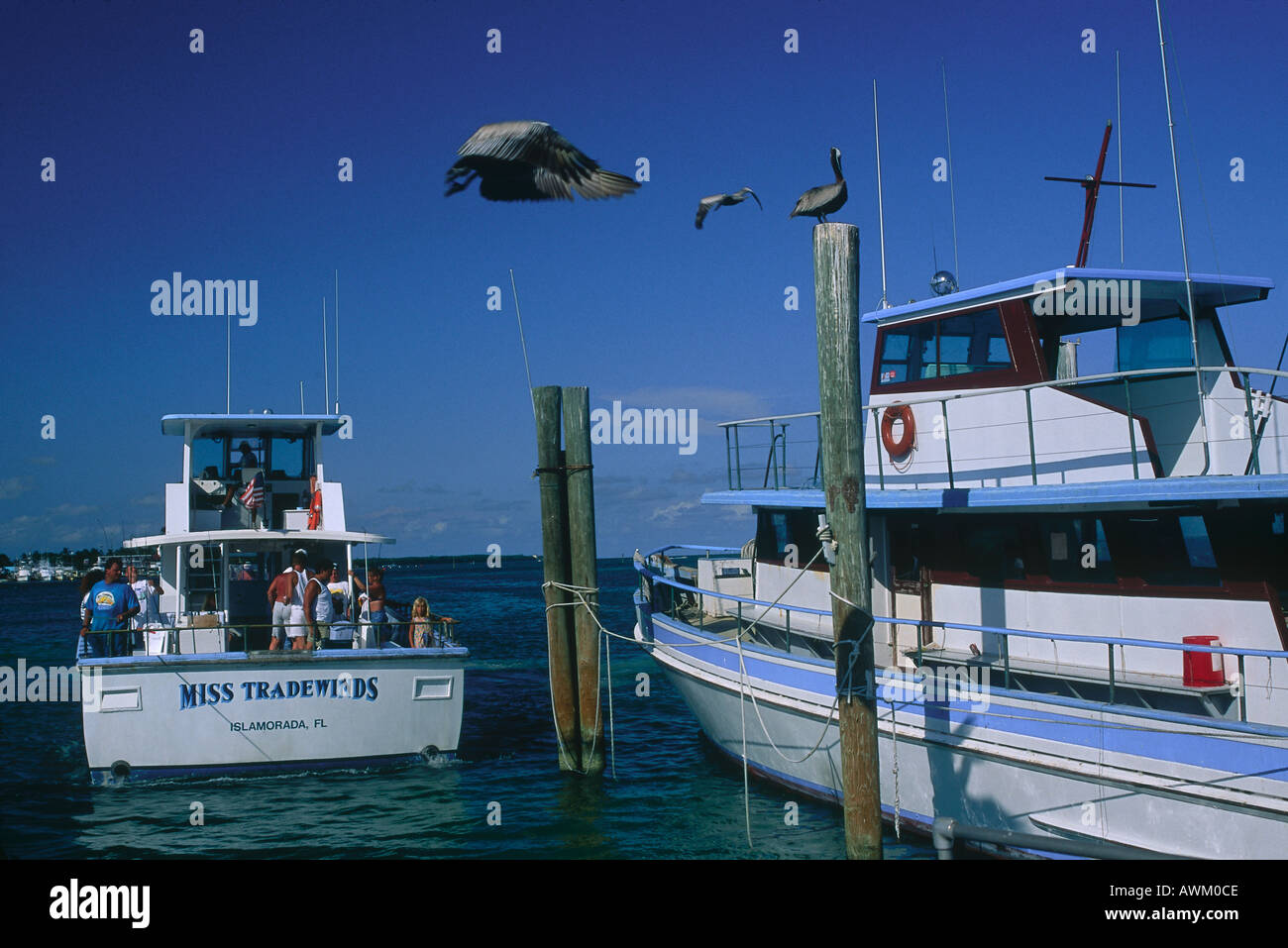 Angelboote/Fischerboote im Meer, Islamorada, Key West, Florida, USA Stockfoto