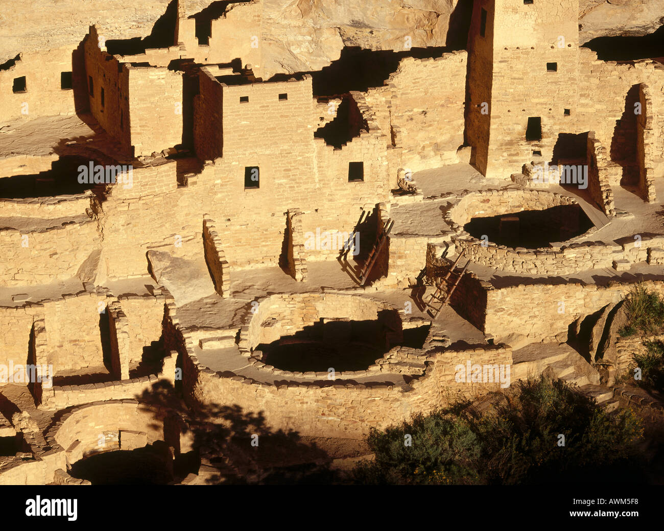 Ruinen der historischen Adobe-Gebäude, Anasazi-Ruinen, Mesa Verde Nationalpark, Colorado, USA Stockfoto