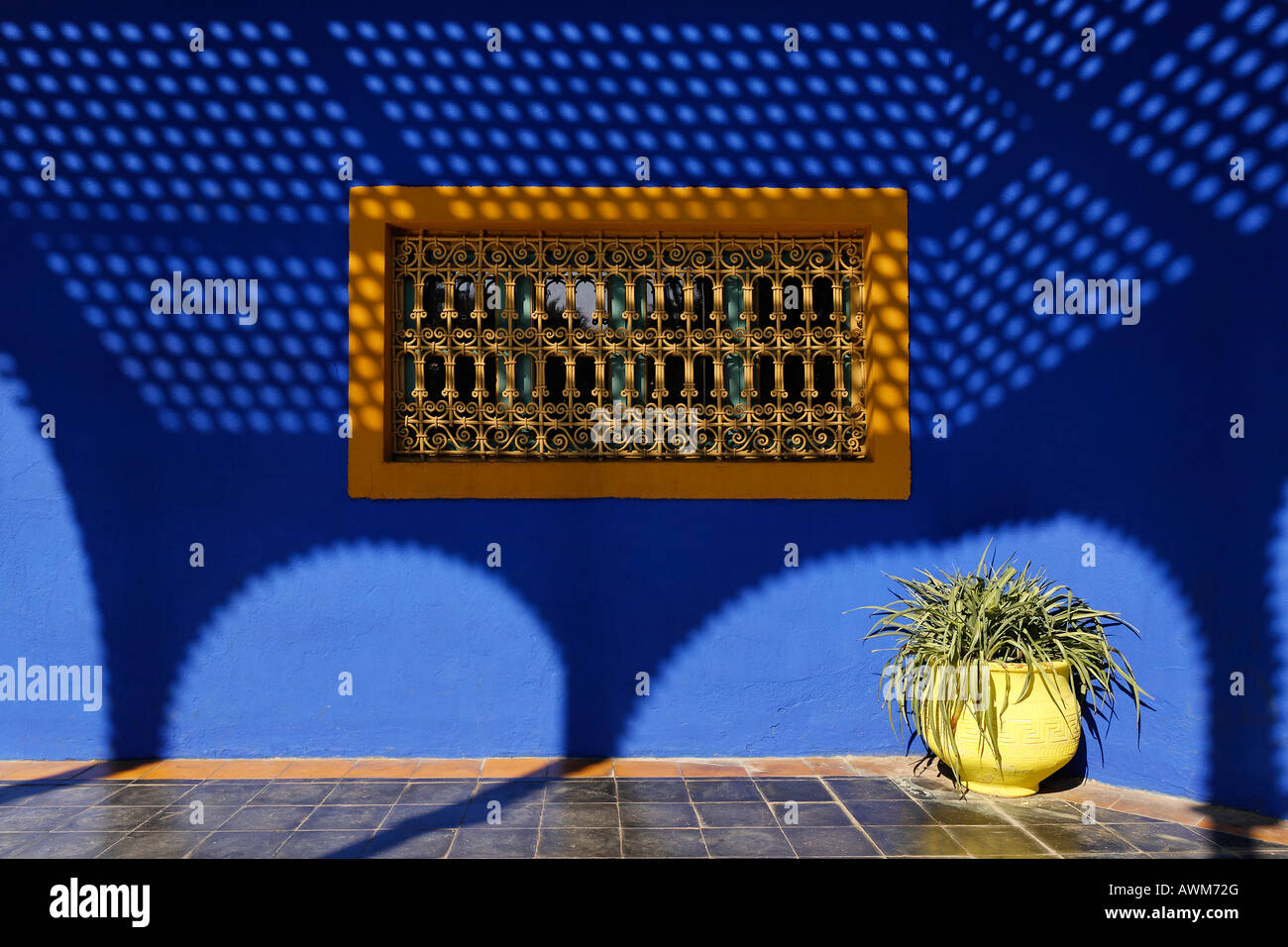 Gelber Blumentopf vor leuchtend blauer Wand, Jardin Majorelle, Marrakesch,  Marokko, Afrika Stockfotografie - Alamy