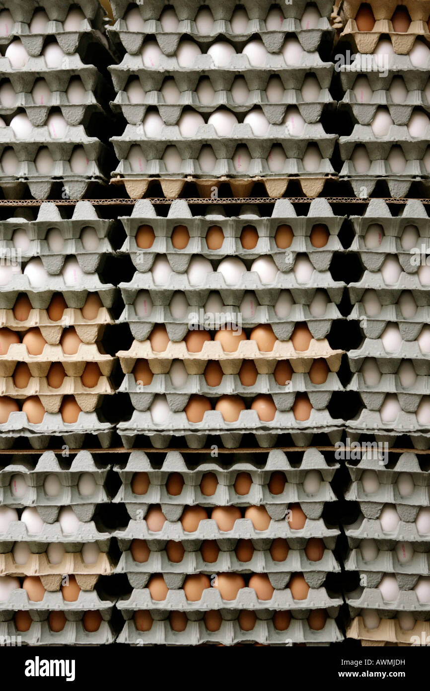 Eierkartons mit Eiern Stockfoto