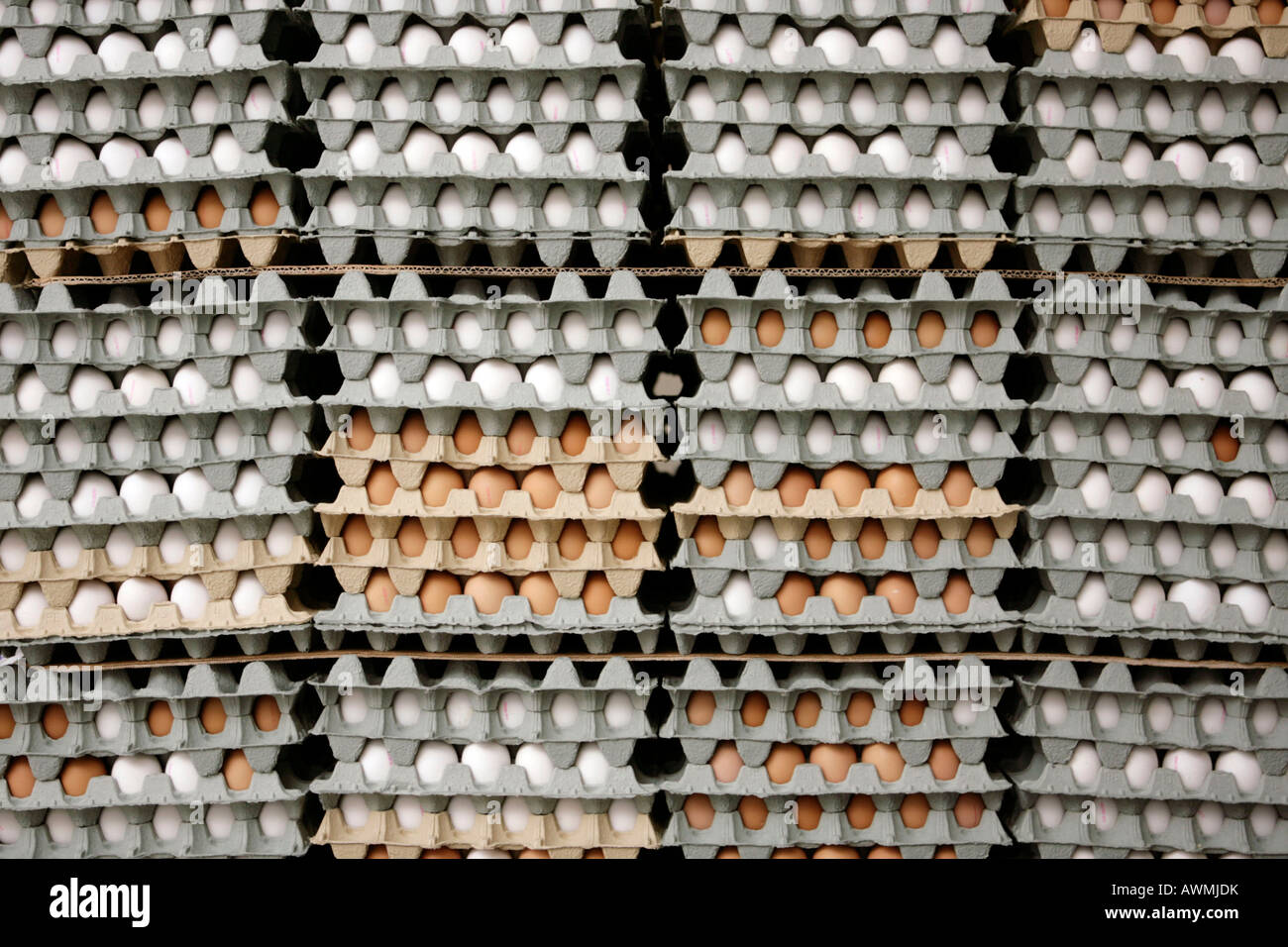 Eierkartons mit Eiern Stockfoto