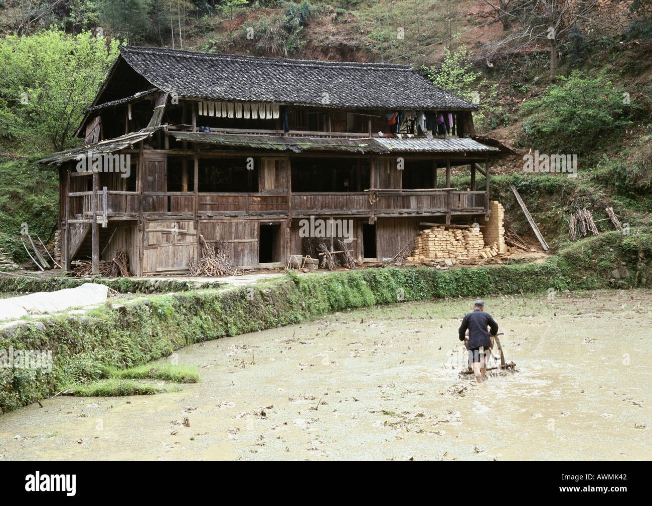 China Autonome Region Guangxi Mann Pflugen Reisfeld Altes Haus