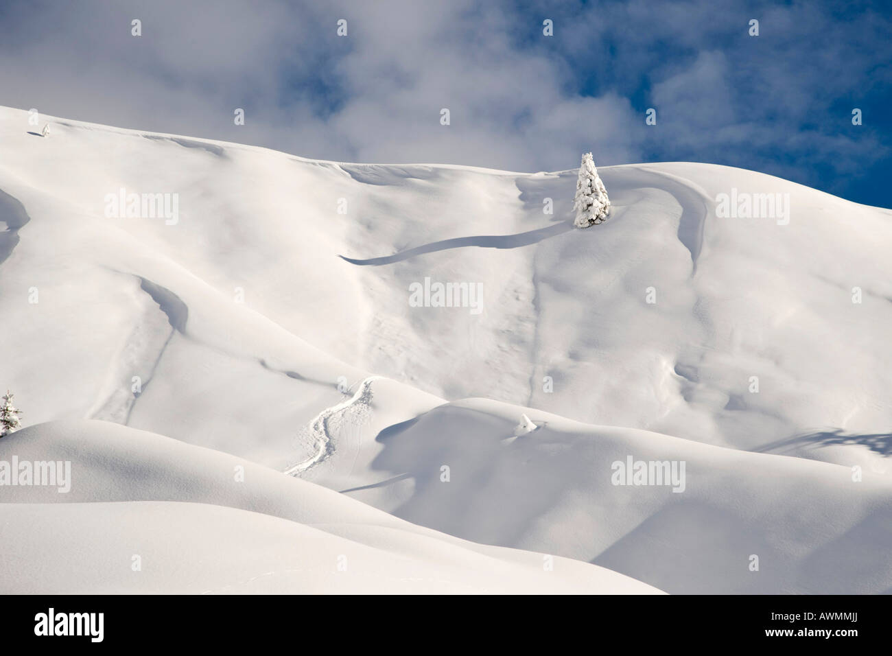 Winterlandschaft, Arabba, Bolzano-Bozen, Dolomiten, Italien, Europa Stockfoto