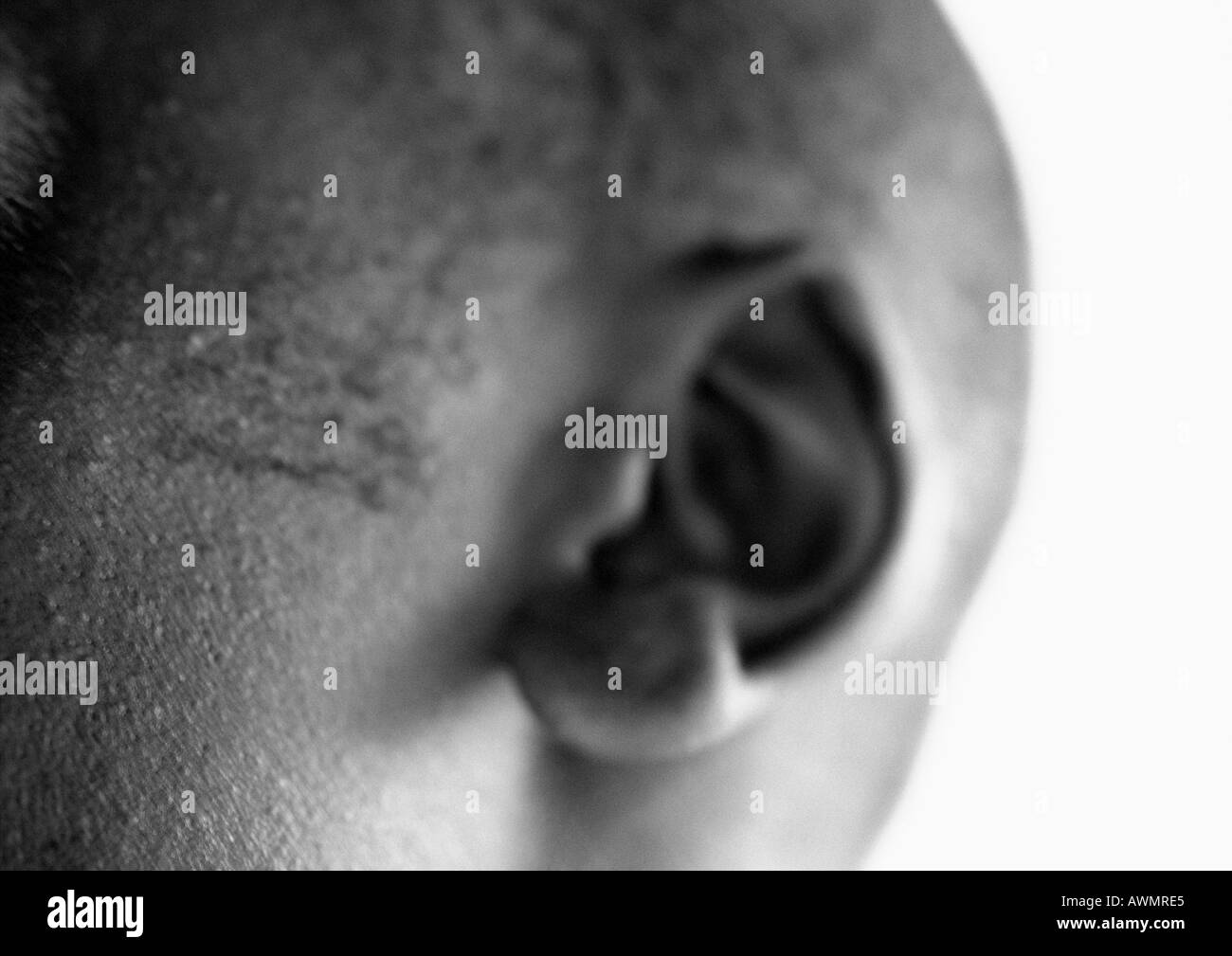 Mannes Ohr, Nahaufnahme, schwarz und weiß. Stockfoto