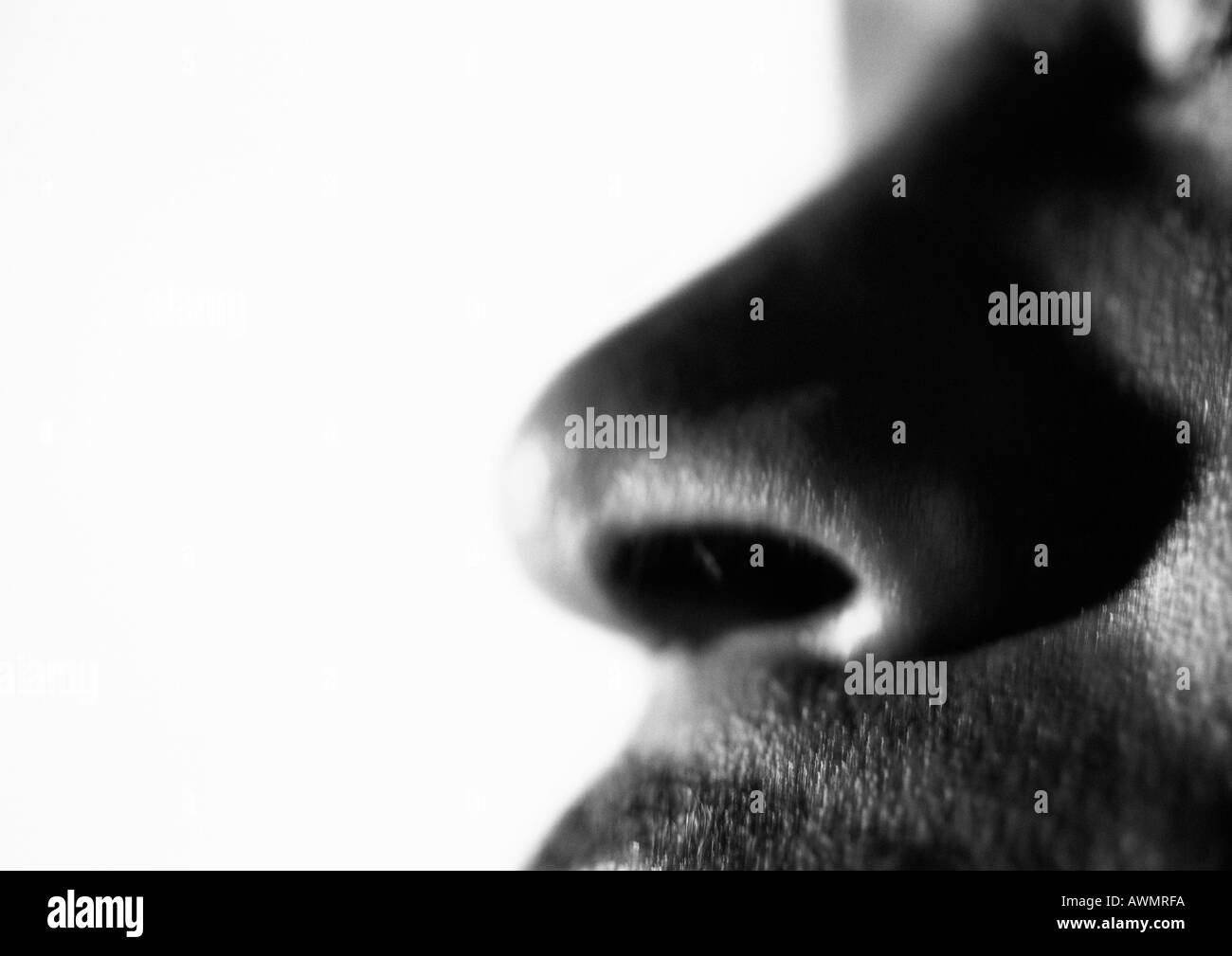 Mannes Nase, Nahaufnahme, schwarz und weiß. Stockfoto
