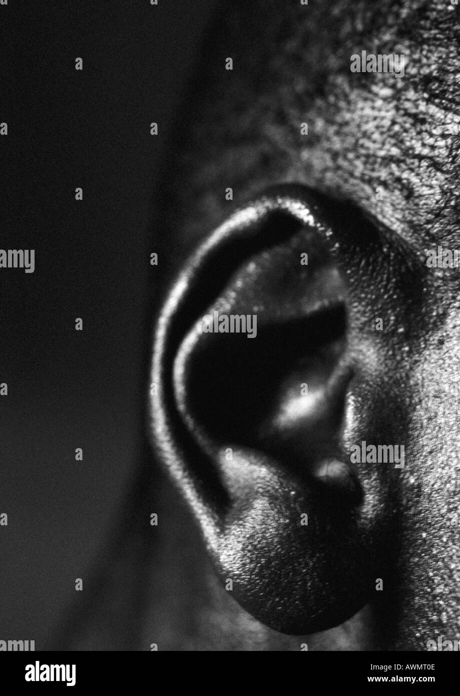 Mannes Ohr, Nahaufnahme, schwarz und weiß. Stockfoto