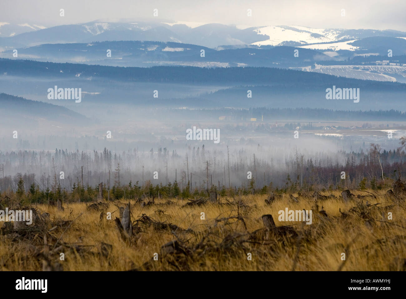 Ökologische Schäden durch Stürme und Waldbrände in 2005, hohe Tatra, Slowakei, Europa Stockfoto