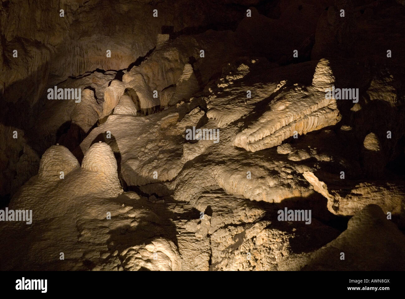 2 beliebte Funktionen der Mammoth Cave in Western Australia und einem Krokodil-Kopf Stockfoto