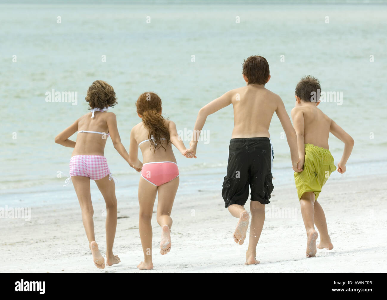 Vier Kinder Hand in Hand und laufen in Richtung Wasser, am Strand, Rückansicht Stockfoto
