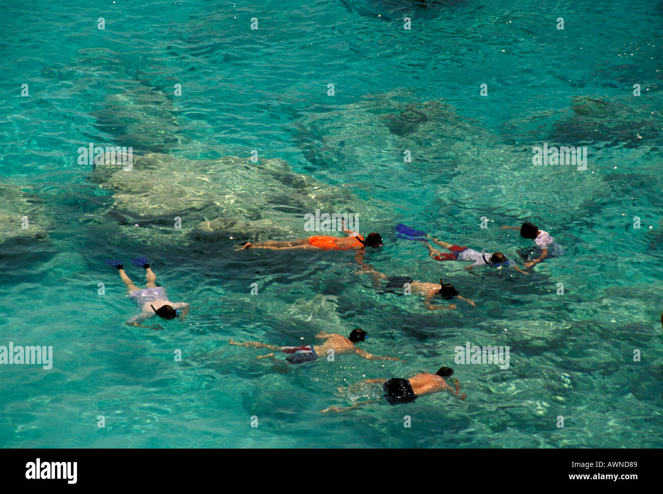 Snorkeling bermuda Fotos und Bildmaterial in hoher Auflösung Alamy