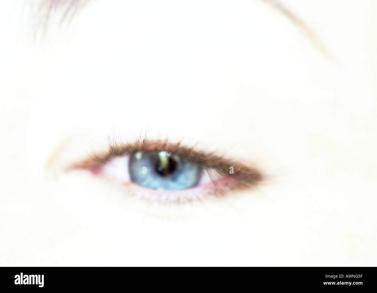 Frau Blau Auge Blick in die Kamera, Nahaufnahme Stockfoto