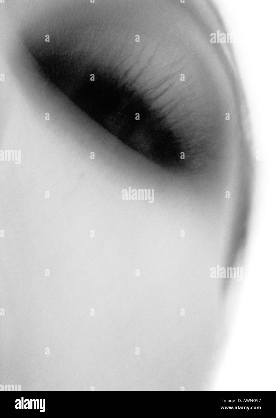 Frau Wimpern, niedrigen Winkel Ansicht, schwarz und weiß Stockfoto
