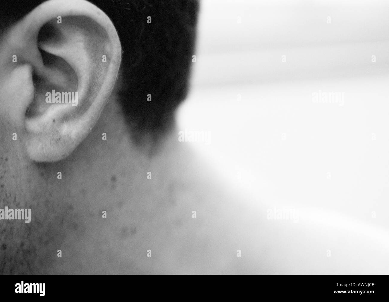 Mannes Ohr und Hals, großaufnahme, schwarz und weiß. Stockfoto