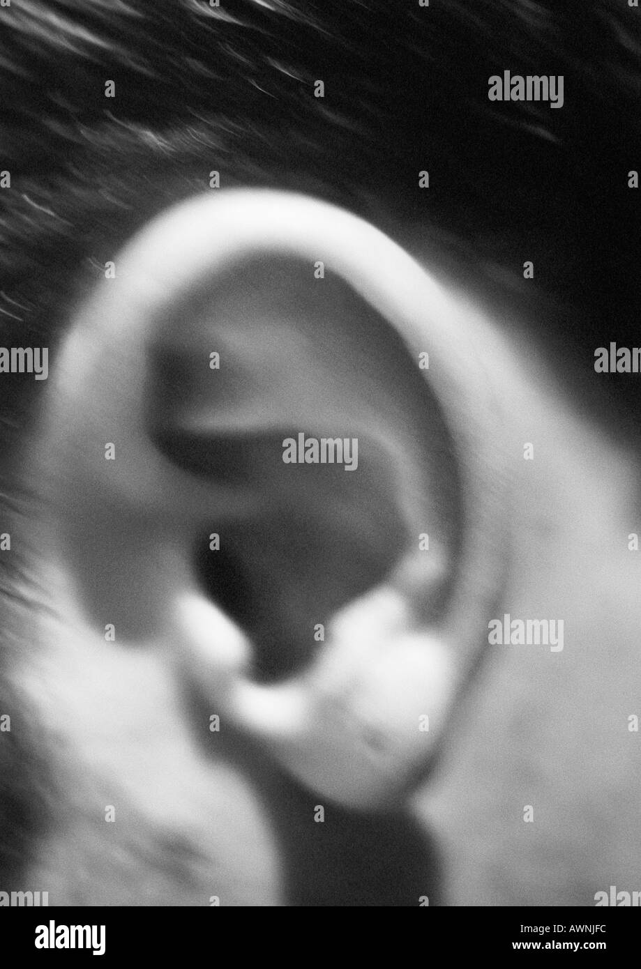Mannes Ohr, verschwommen, close-up, schwarz und weiß. Stockfoto