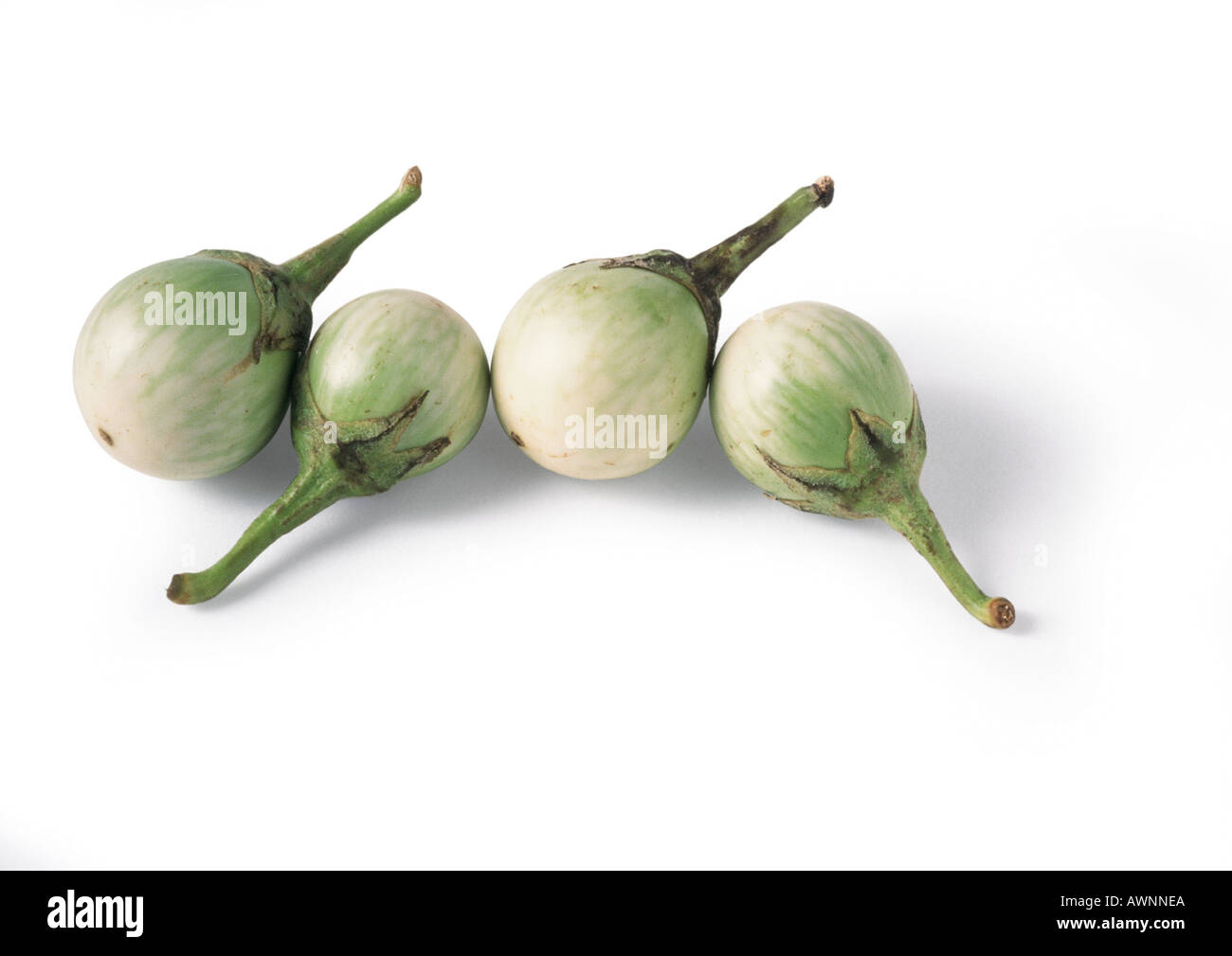 Vier weiße Runde Auberginen, close-up Stockfoto