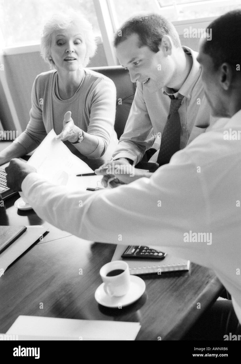 Geschäftsleute, die Prüfung zu dokumentieren, B&W Stockfoto