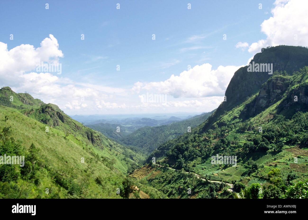 Sri Lanka Ella Ansicht der Küstenebene von Rasthaus Stockfoto