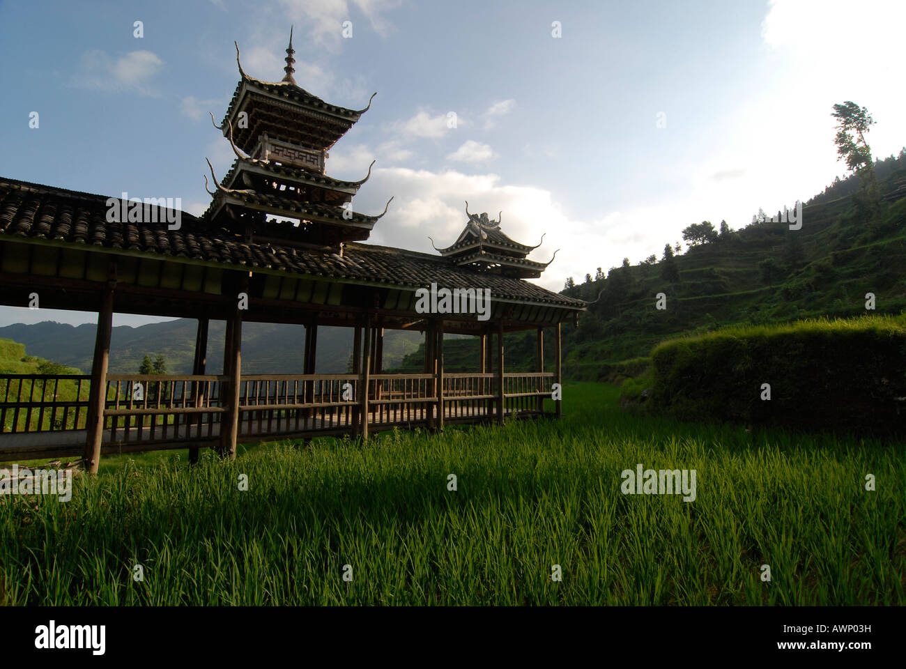 Wind und Regen Brücke und Dong Minderheit Reisfelder, Tang, Guizhou, Südchina, China, Asien Stockfoto