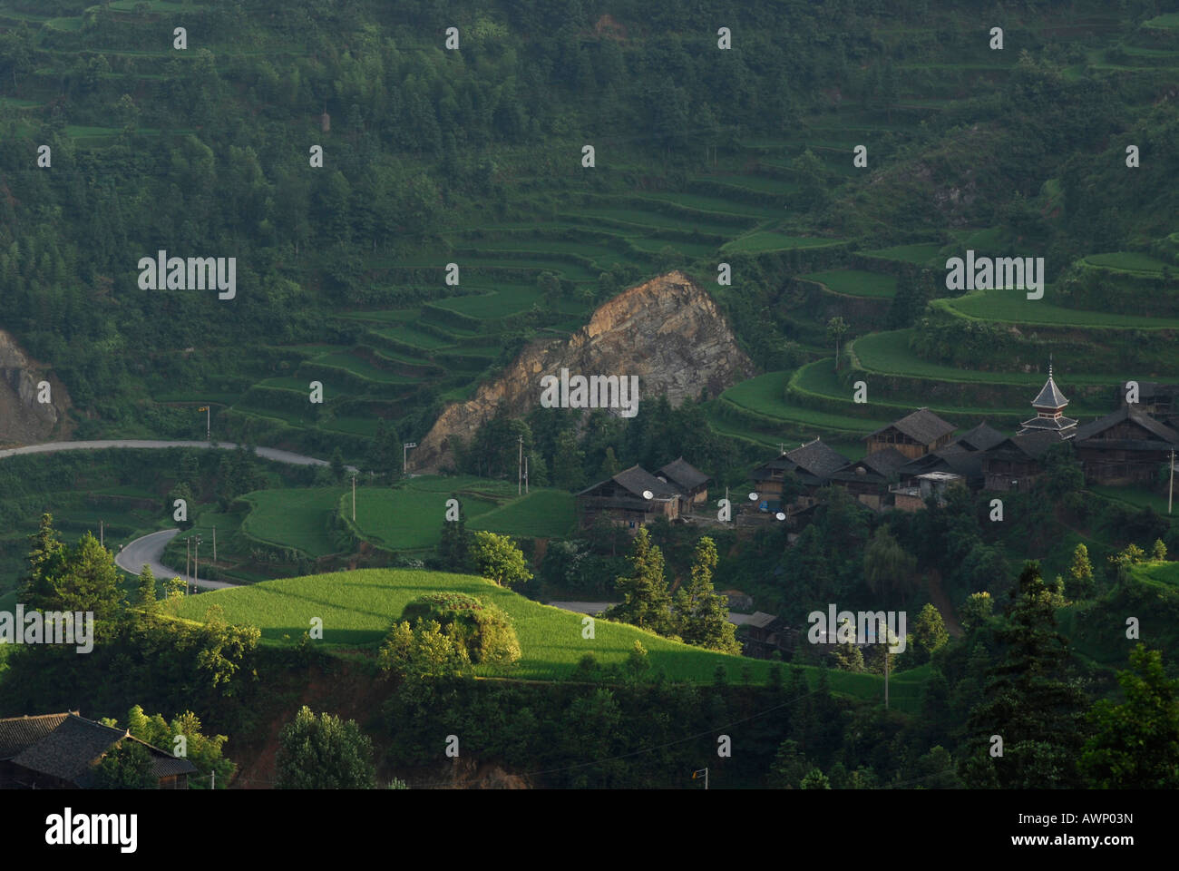 Dong Minderheit Reisfelder, Tang, Guizhou, Südchina, China, Asien Stockfoto