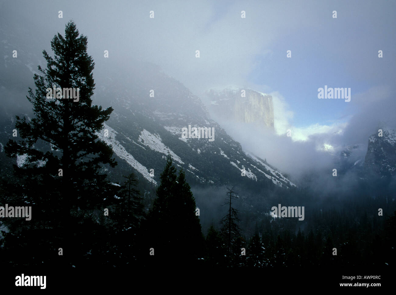 El Capitan, Yosemite Valley, Yosemite National Park, Kalifornien, USA, Nordamerika Stockfoto