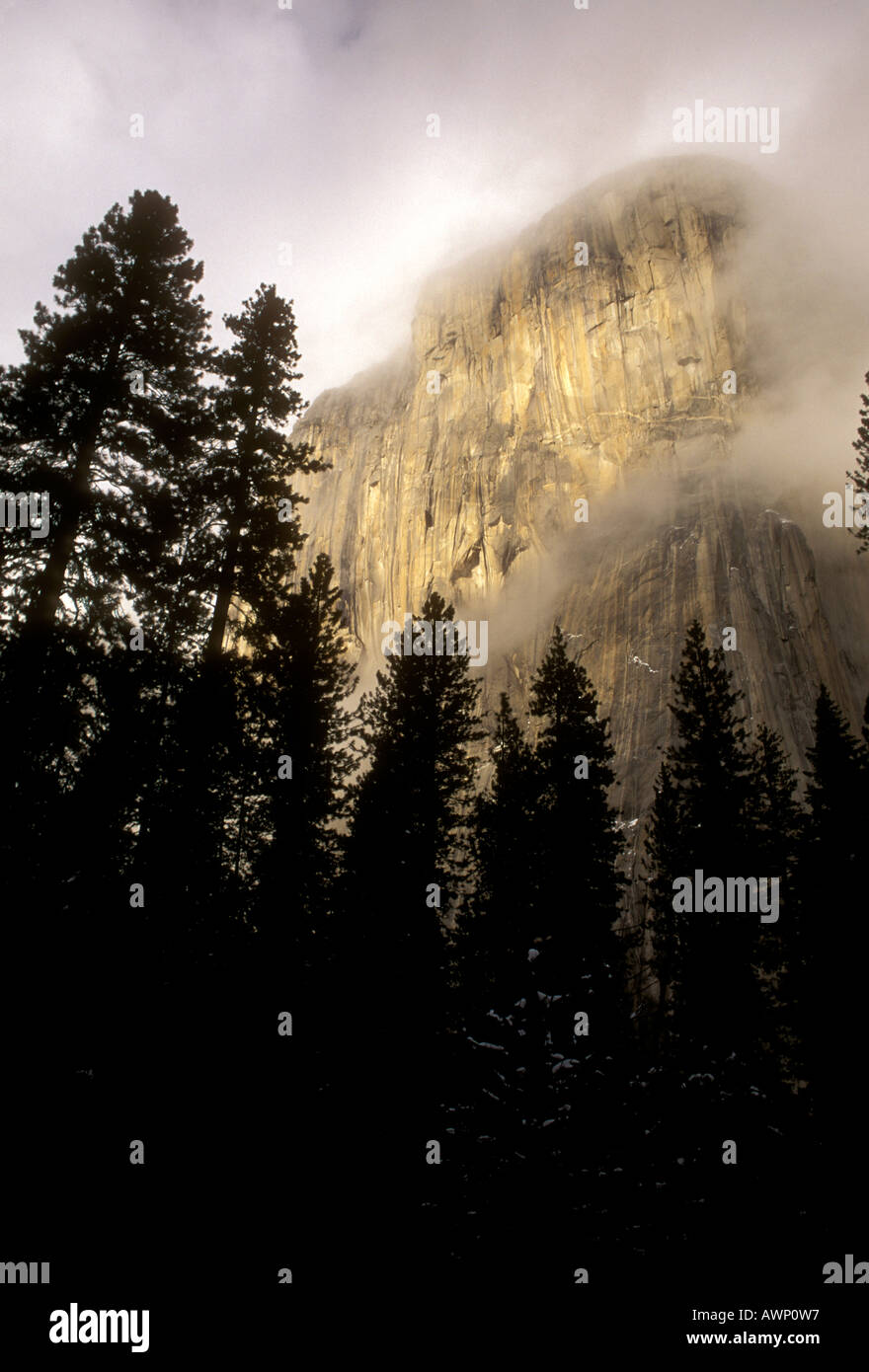 El Capitan, Yosemite Valley, Yosemite National Park, Kalifornien, USA, Nordamerika Stockfoto