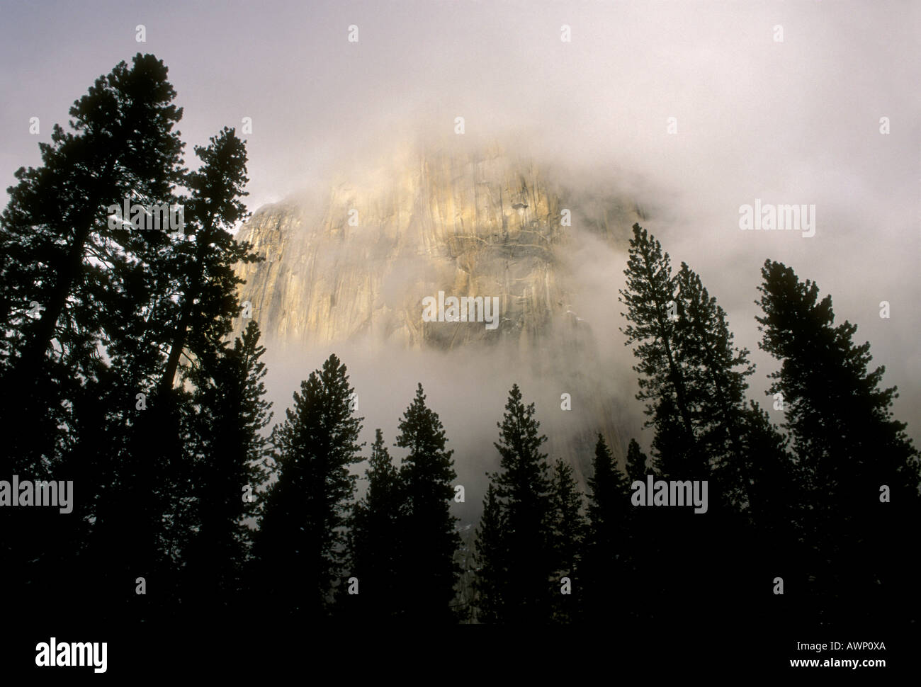 El Capitan, Yosemite Valley, Yosemite National Park, Kalifornien, USA, Nordamerika Stockfoto