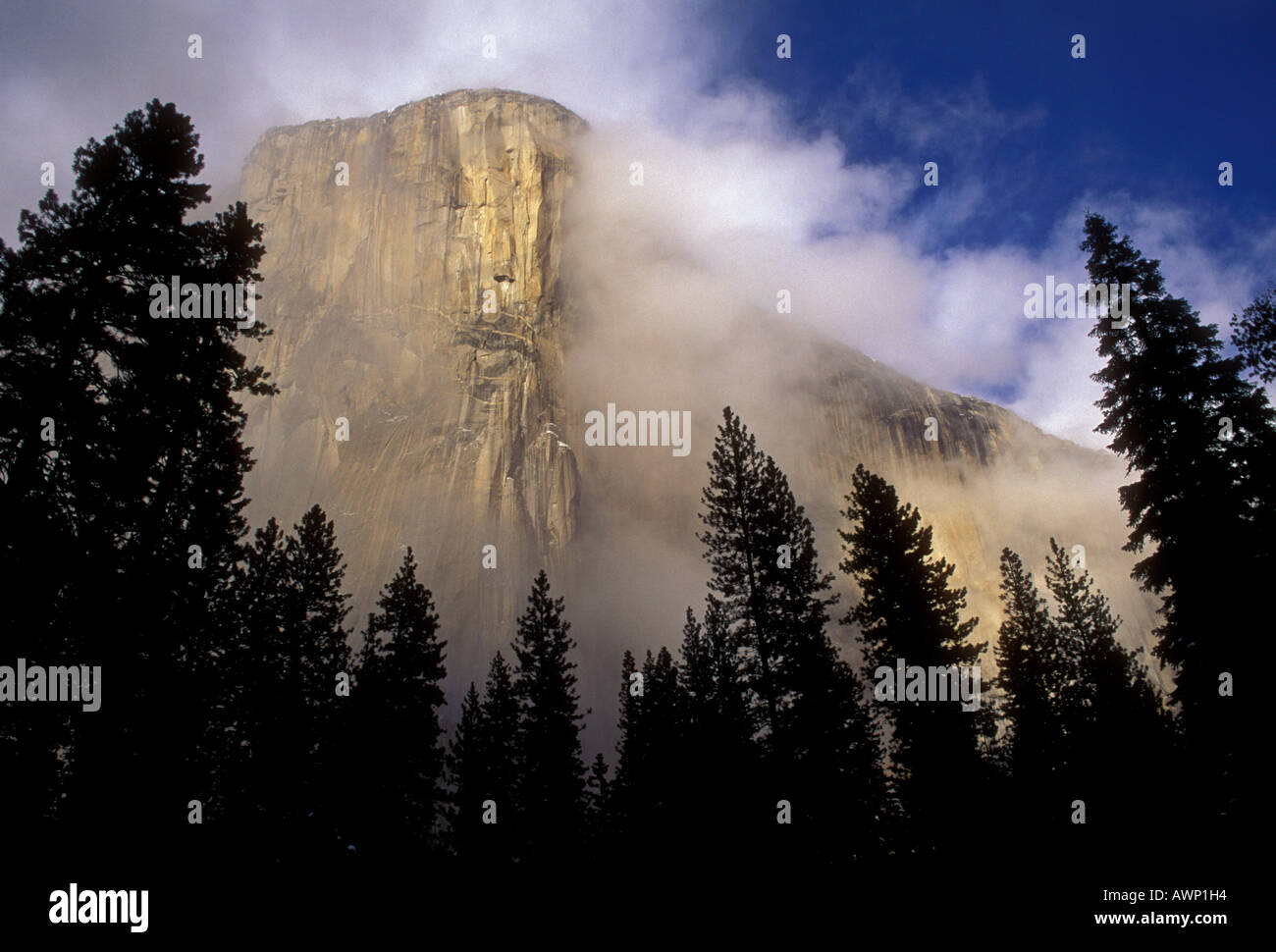 El Capitan, Yosemite Valley, Yosemite National Park, Kalifornien, USA, Nordamerika Stockfoto