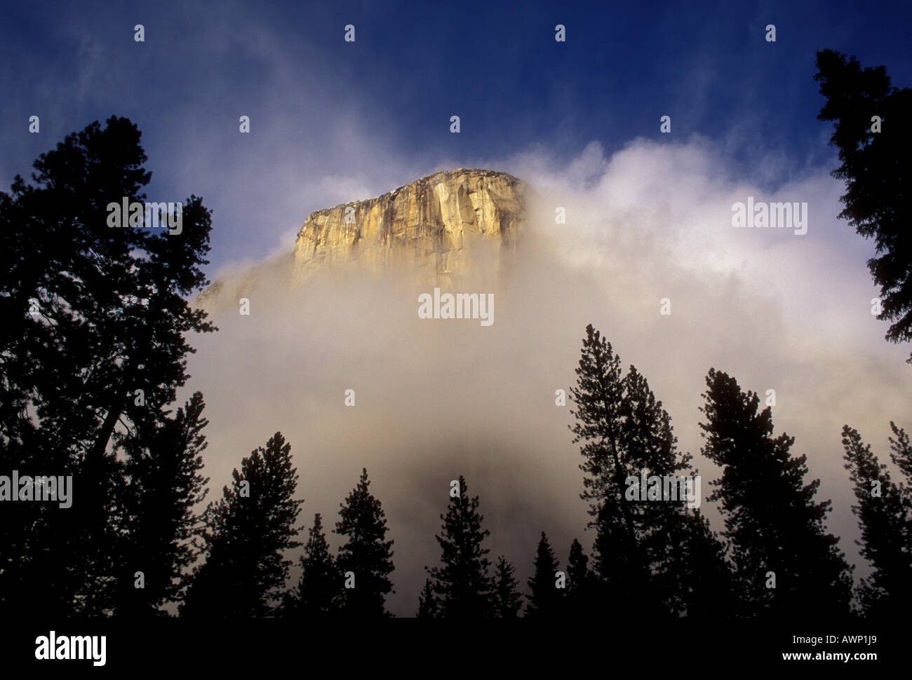 El Capitan, Yosemite Valley, Yosemite National Park, Kalifornien, USA, Nordamerika Stockfoto