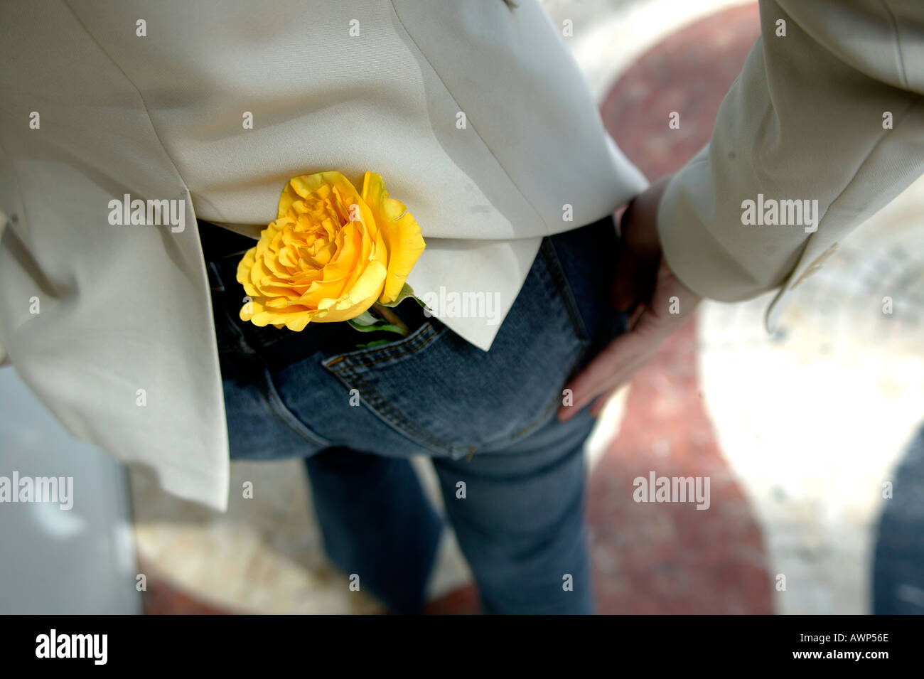 BLUME AUF DER RÜCKSEITE TASCHE WOMANS JEANS Stockfoto