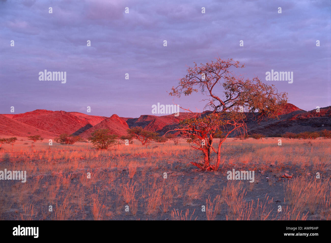 Sonnenuntergang über den Bergen, Damaraland, Namibia, Afrika Stockfoto