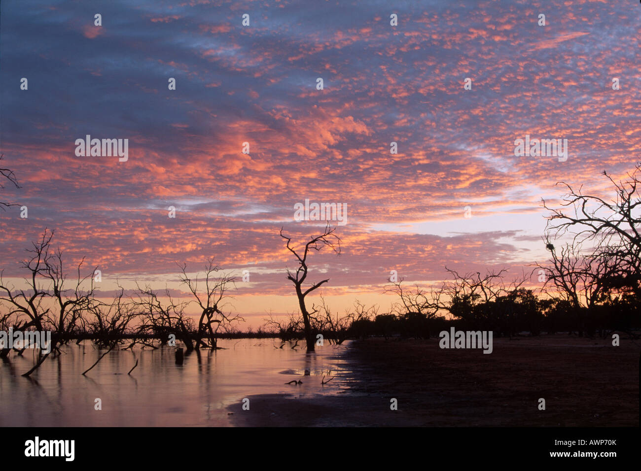 Sonnenaufgang über dem See Pamamaroo, Kinchega Nationalpark, New South Wales, Australien, Oceania Stockfoto