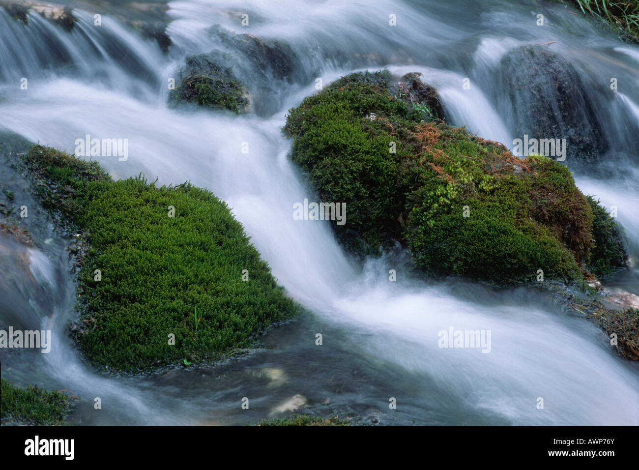 Moosbewachsenen Steinen in Johannesbach Stream, Nord-Tirol, Österreich, Europa Stockfoto