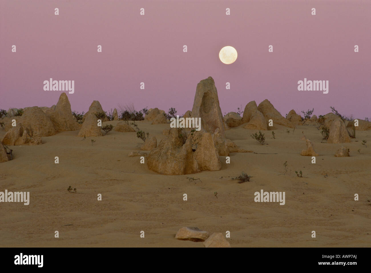 Vollmond über die Pinnacle Desert, Namburg National Park, Western Australia, Australien, Ozeanien Stockfoto