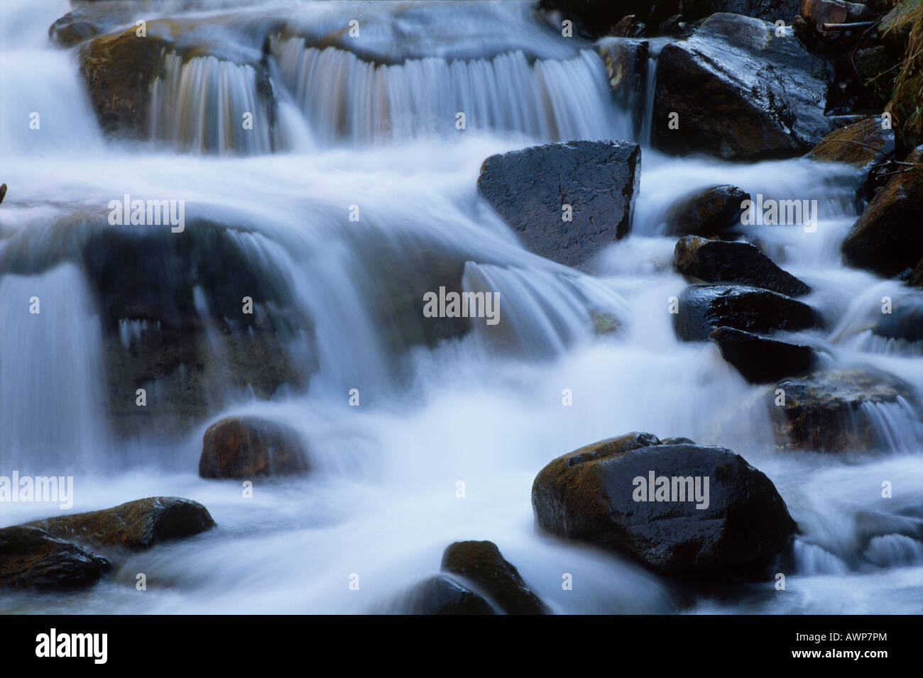 Stream Detail, Nord-Tirol, Österreich, Europa Stockfoto