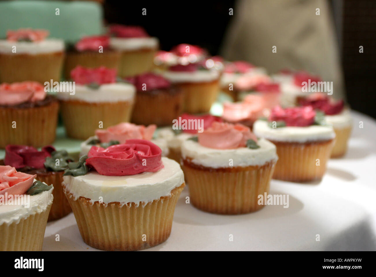 Zeilen der Cupcakes Kreisen eine Tabelle zur Anzeige. Foto von Tom Zuback Stockfoto