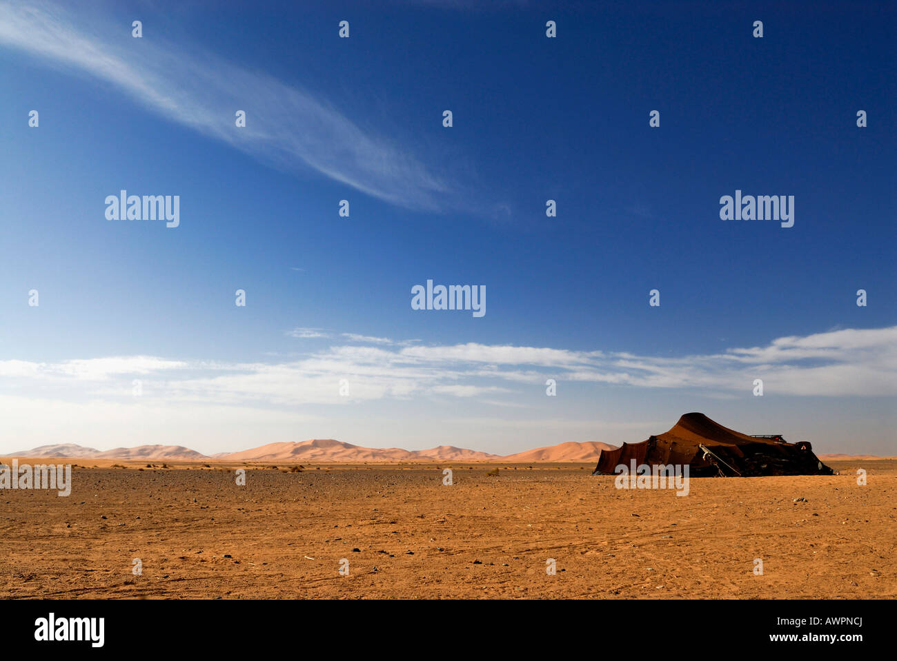 Berber Zelt aufgestellt vor Sanddünen, Erg Chebbi, Merzouga, Marokko, Nordafrika Stockfoto