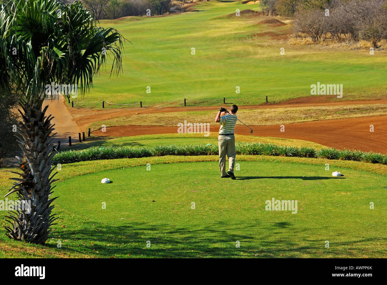 Golfplatz, Sun City, Südafrika Stockfoto