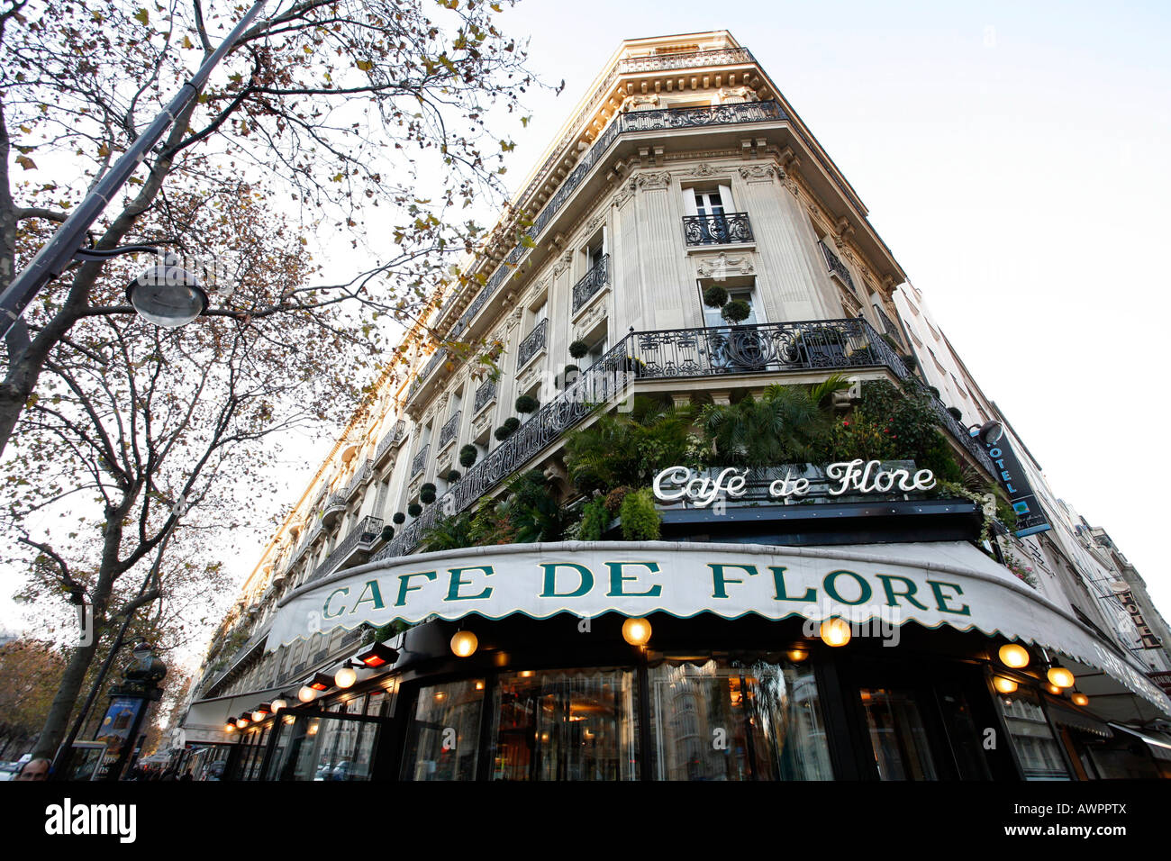 Cafe de Flore, Quartier Saint-Germain-des-Prés, Paris, Frankreich, Europa Stockfoto