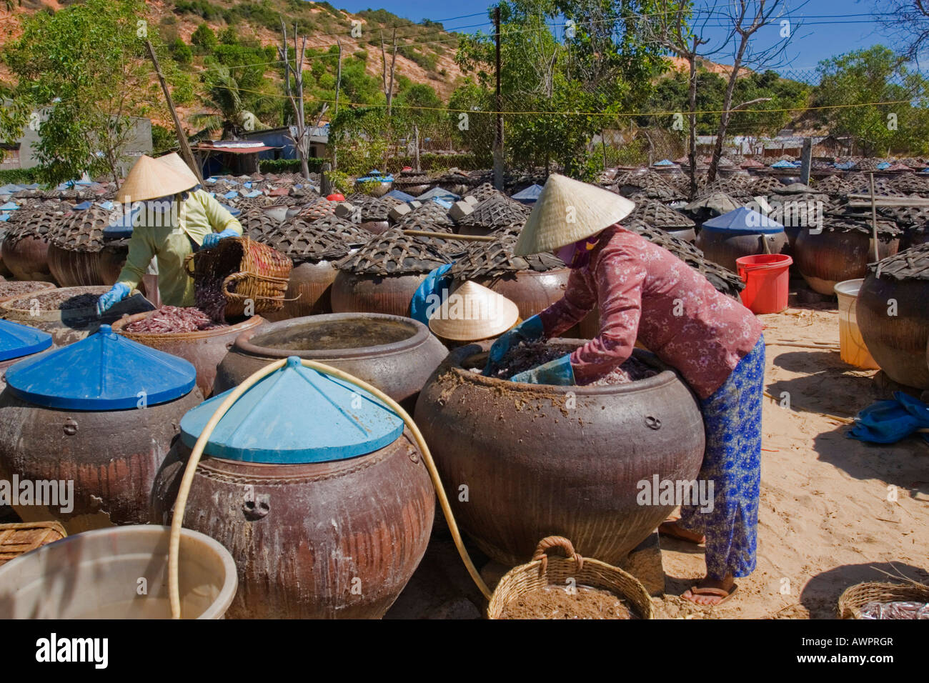 Drei Frauen machen Nouc Mam (Fischsauce) in Mui Ne, Vietnam, Asien Stockfoto