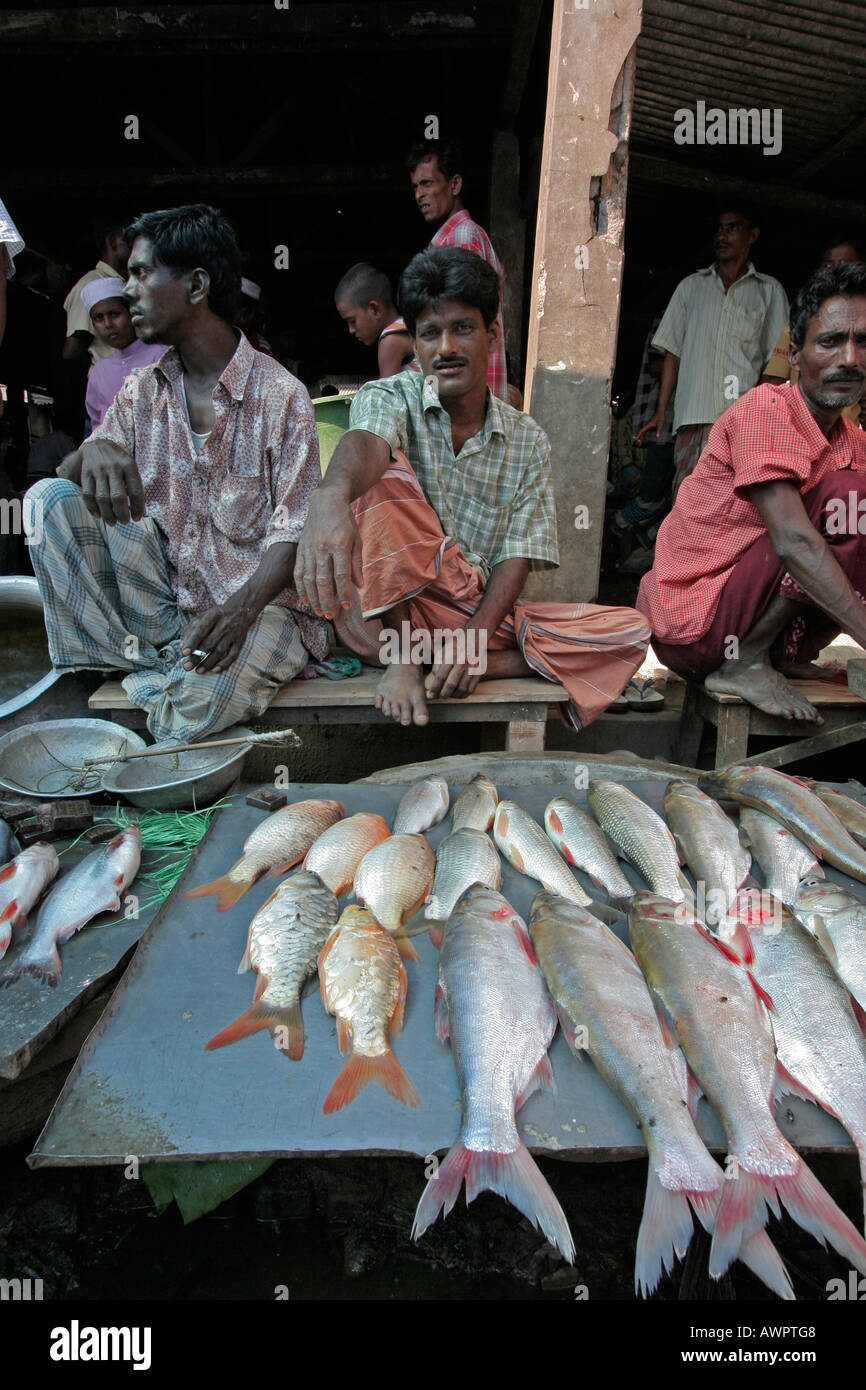 Bangladesch-Fisch Angebote am Markt bei Haluaghat Mymensingh Region Foto von Sean Sprague Stockfoto