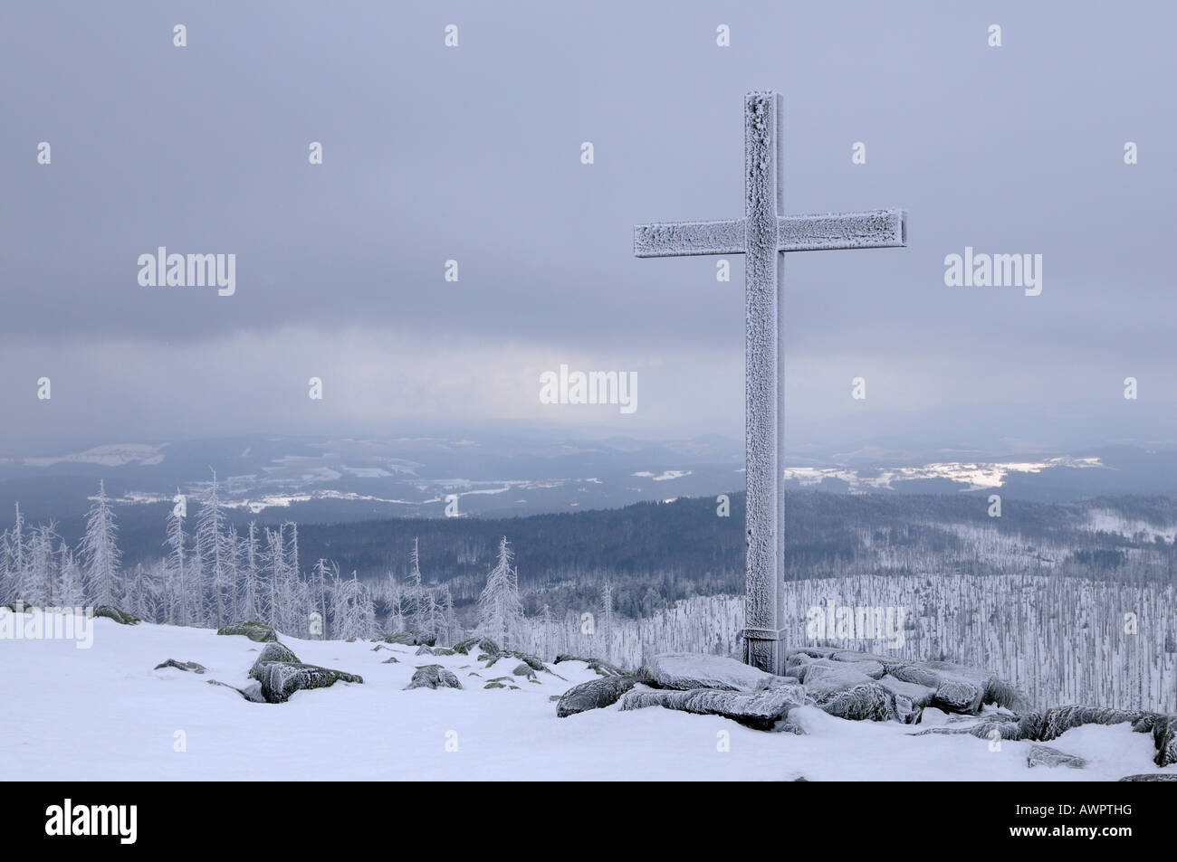 Blick auf einen Wald beschädigt durch Borkenkäfer aus Mt. Lusen, Bayerischer Wald (Bayerischer Wald), Bayern, Deutschland, Europa Stockfoto