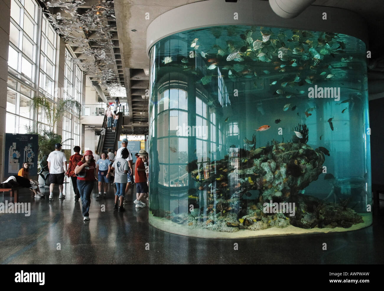 Charleston Aquarium Charleston SC Stockfotografie Alamy
