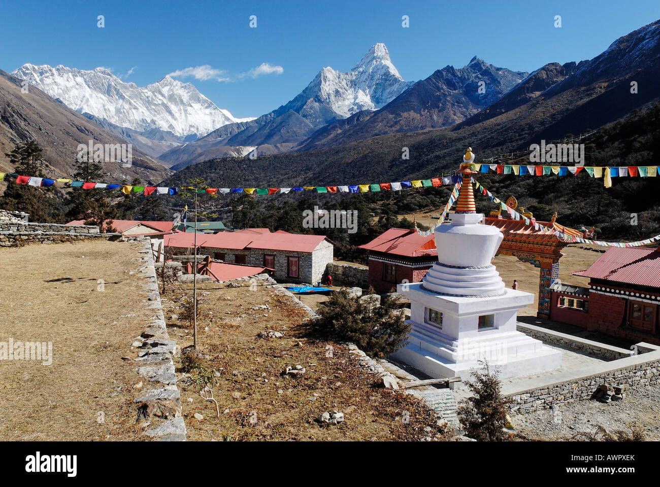 Tengpoche Kloster vor Ama Dablam (6856) und Lhotse (8501), Sagarmatha Nationalpark, Khumbu, Nepal Stockfoto