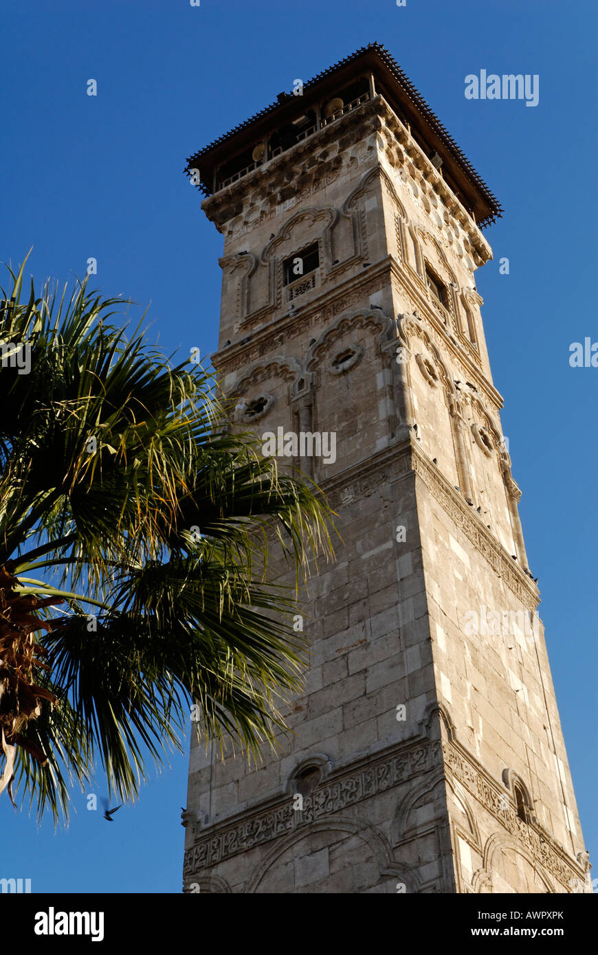 Umayyaden-Moschee in Aleppo, Syrien Stockfoto