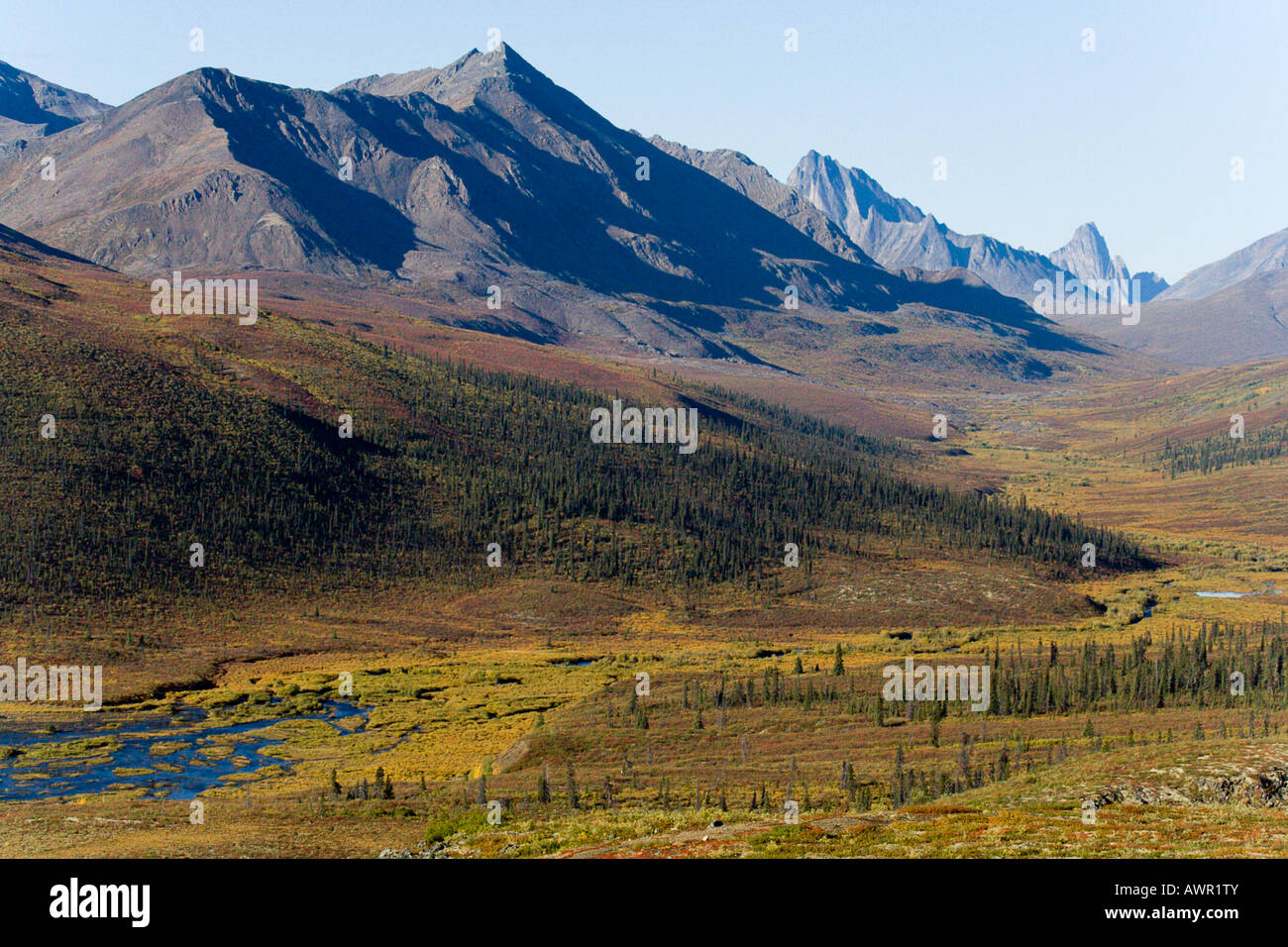 Herbstliche Tundra, Tombstone Mountains, Yukon Territorium, Kanada, Nordamerika Stockfoto